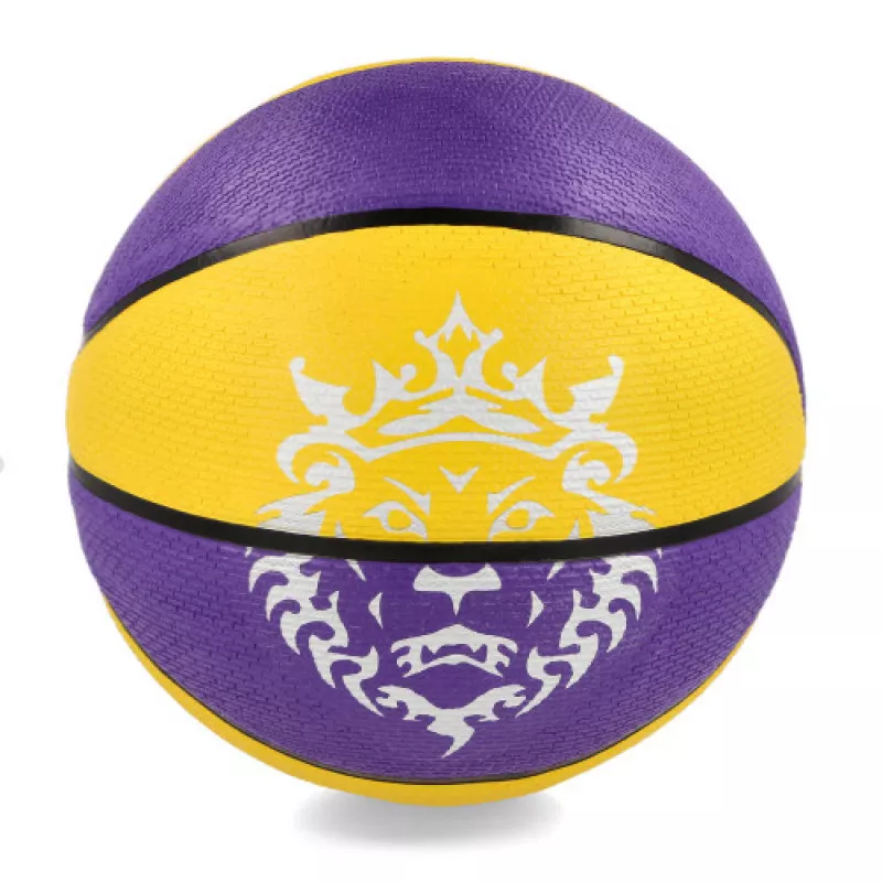 Nike Lebron Playground Purple/Amarillo Basketball - Image 3